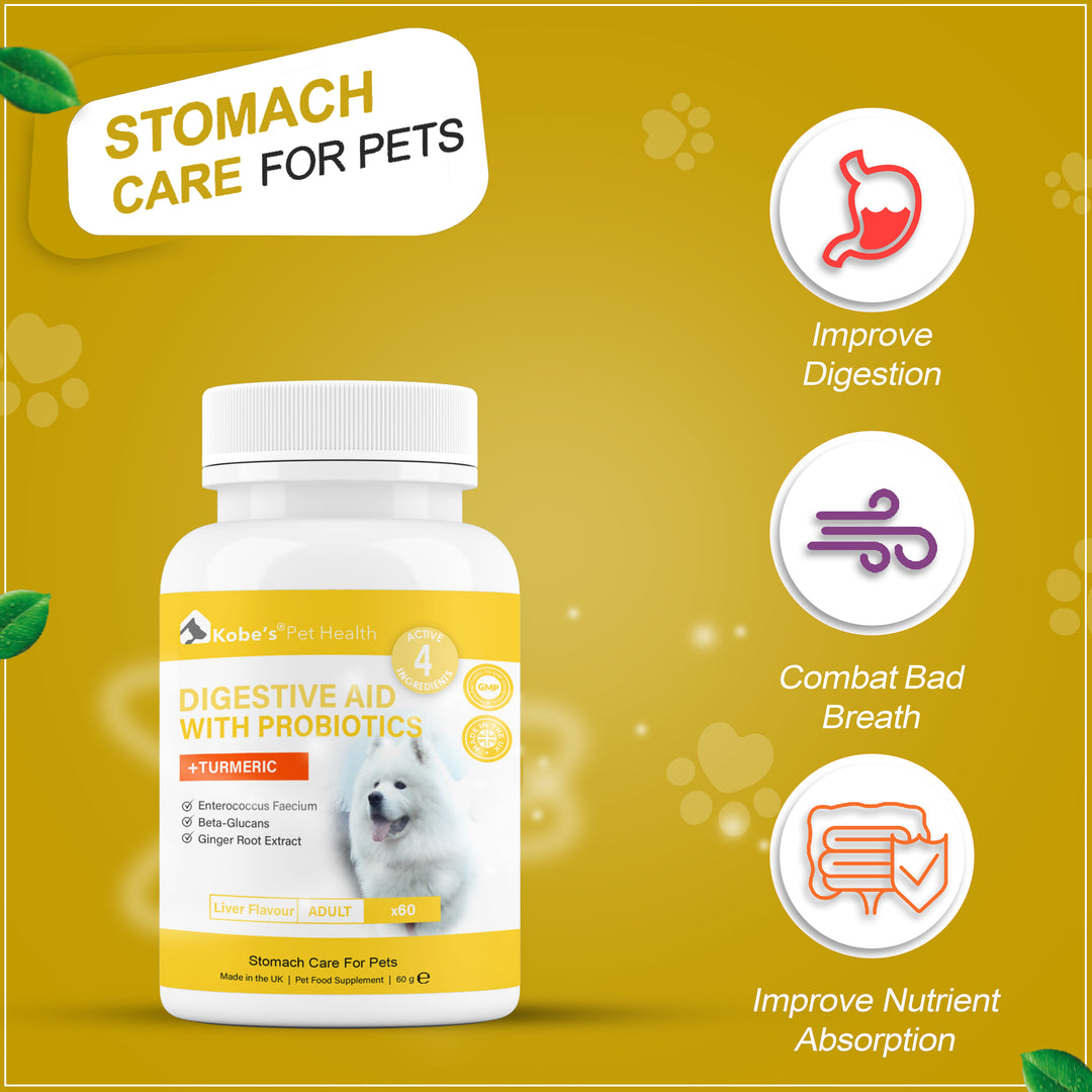 Digestive Enzyme Supplements For Dogs | Probiotics for Dogs | Digestive Enzyme for Dogs & Cats (Final)