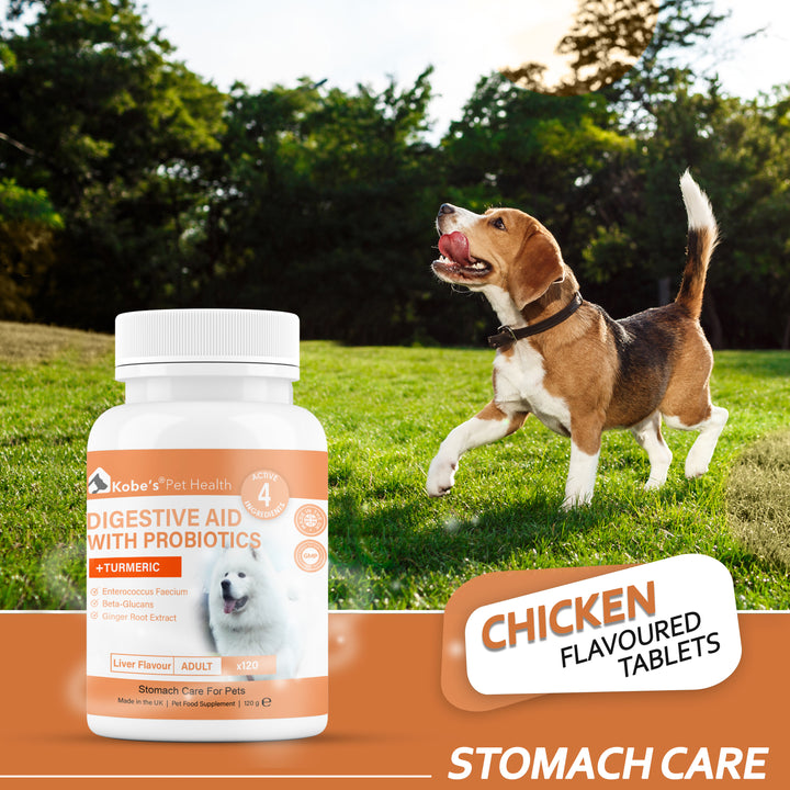 Digestive Enzyme Supplements For Dogs | Probiotics for Dogs - 120 Capsules (Final)