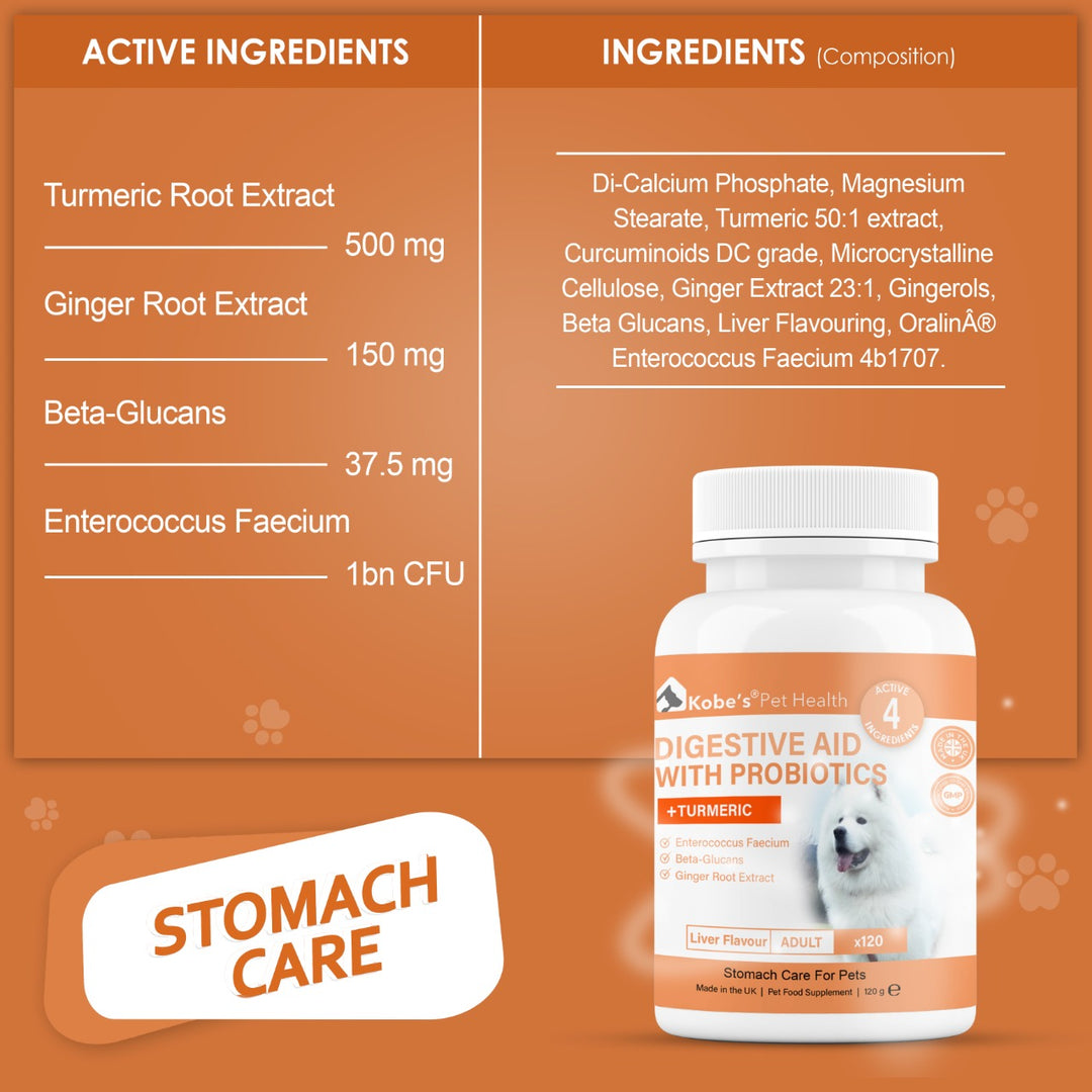 Digestive Enzyme Supplements For Dogs | Probiotics for Dogs - 120 Capsules (Final)