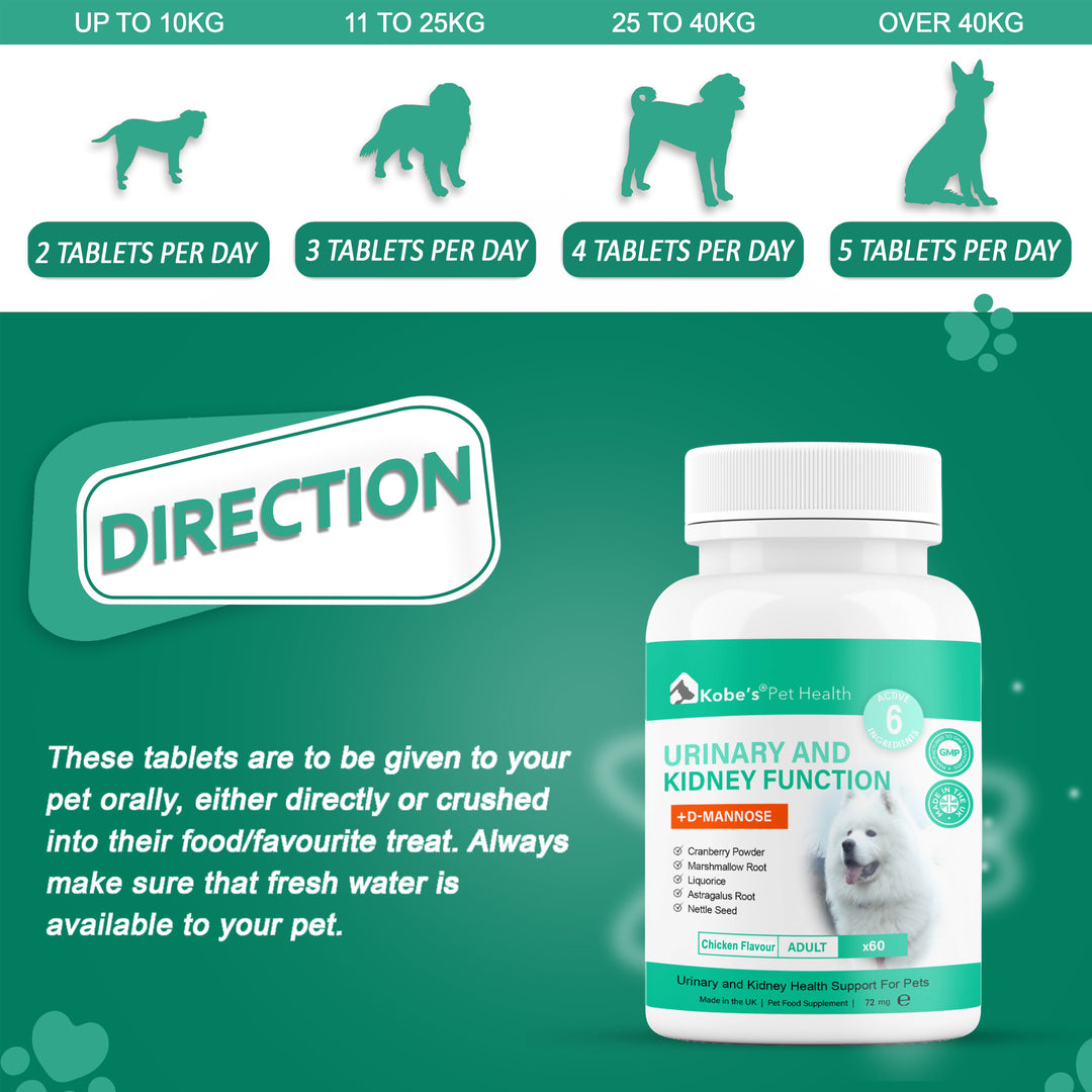 Bladder & Kidney Support Supplement for Dogs & Cats | Antibiotic for Urinary Tract Infection - 60 Capsules (Trial)