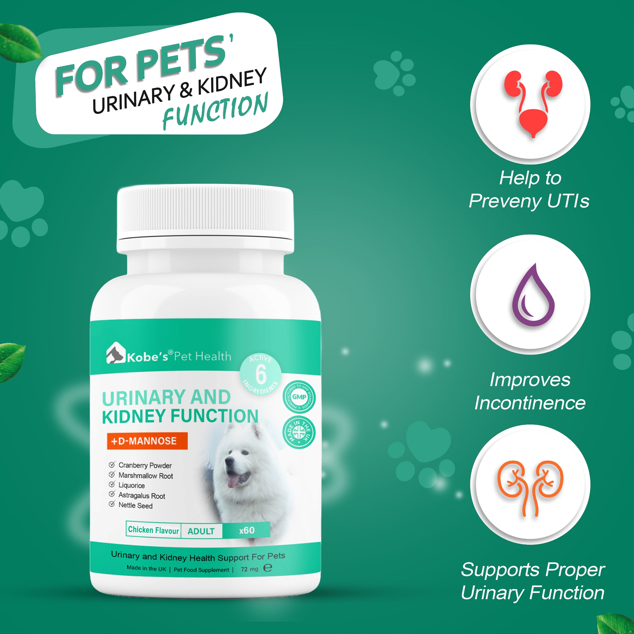 Bladder & Kidney Support Supplement for Dogs & Cats | Antibiotic for Urinary Tract Infection - 60 Capsules (Trial)