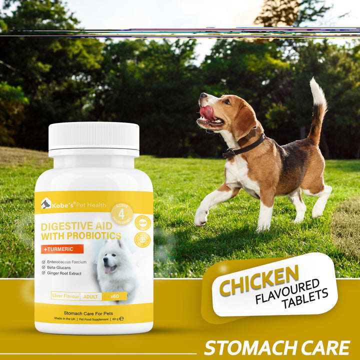Digestive Enzyme Supplements For Dogs | Probiotics for Dogs | Digestive Enzyme for Dogs & Cats (Final)