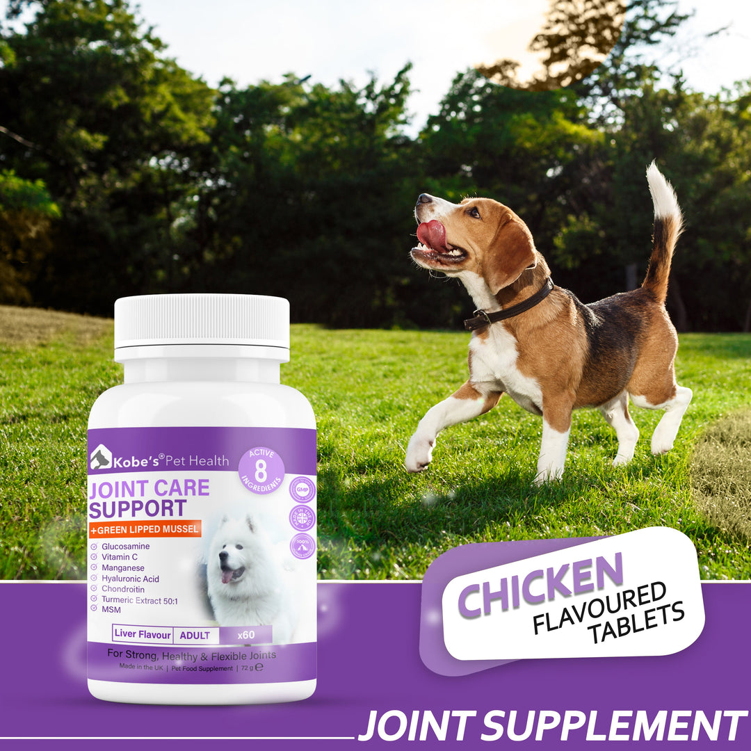 Pet joint Supplement | supplements for joints in dogs | Joint health care for dogs - 60 Tablets (Trial)